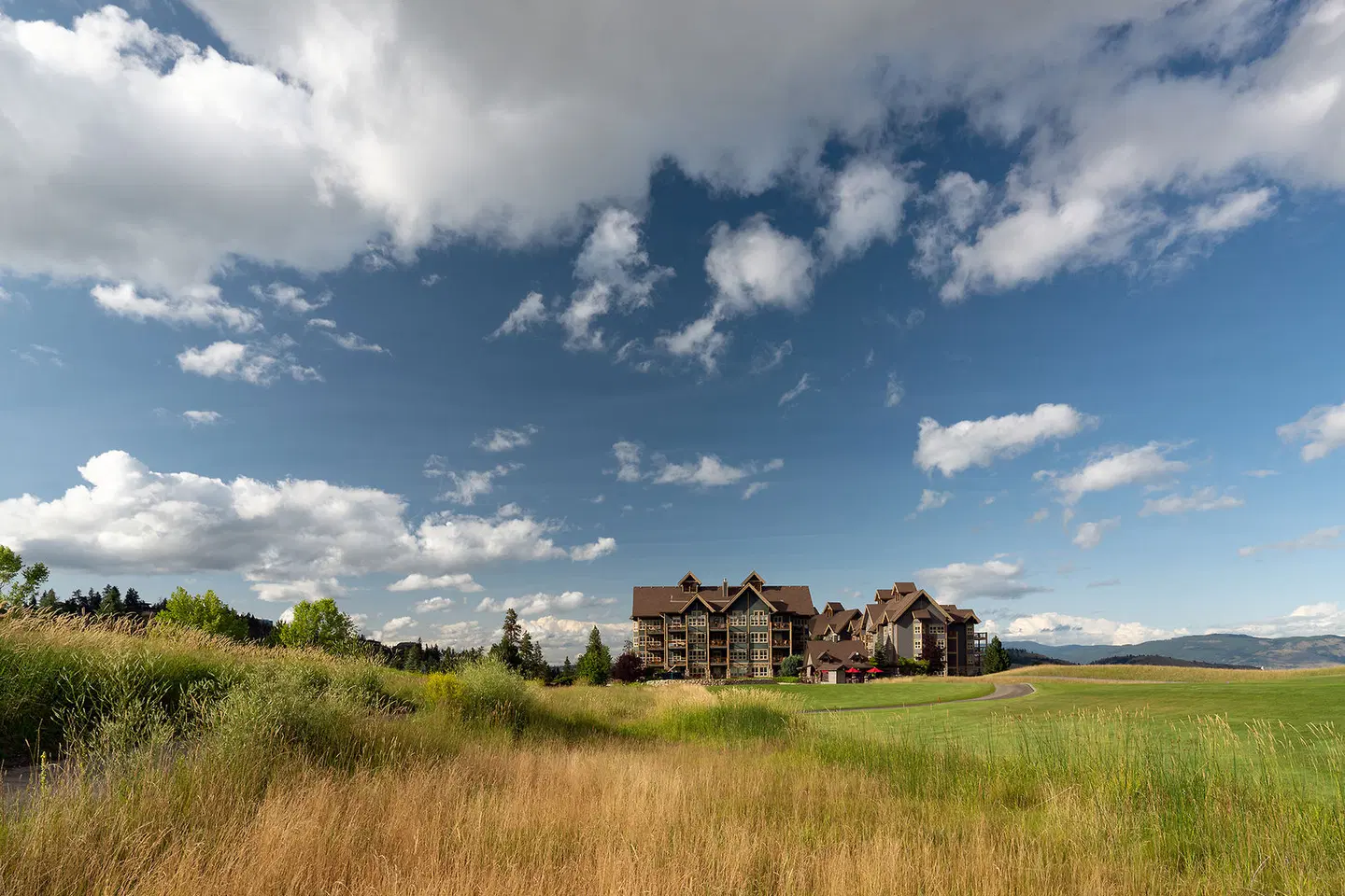 Predator Ridge Resort Tiere