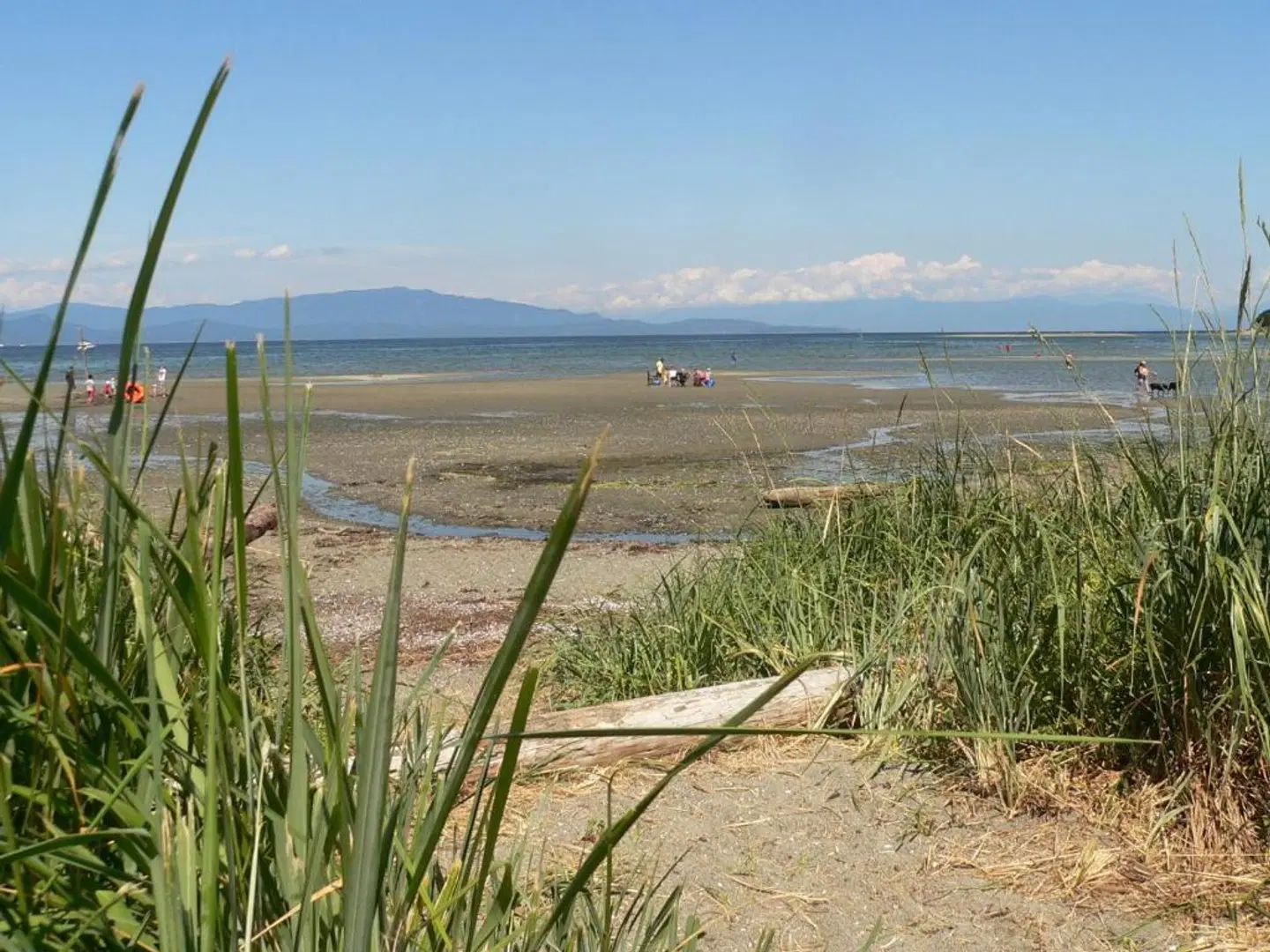 Sea Edge Motel LANDSCAPE