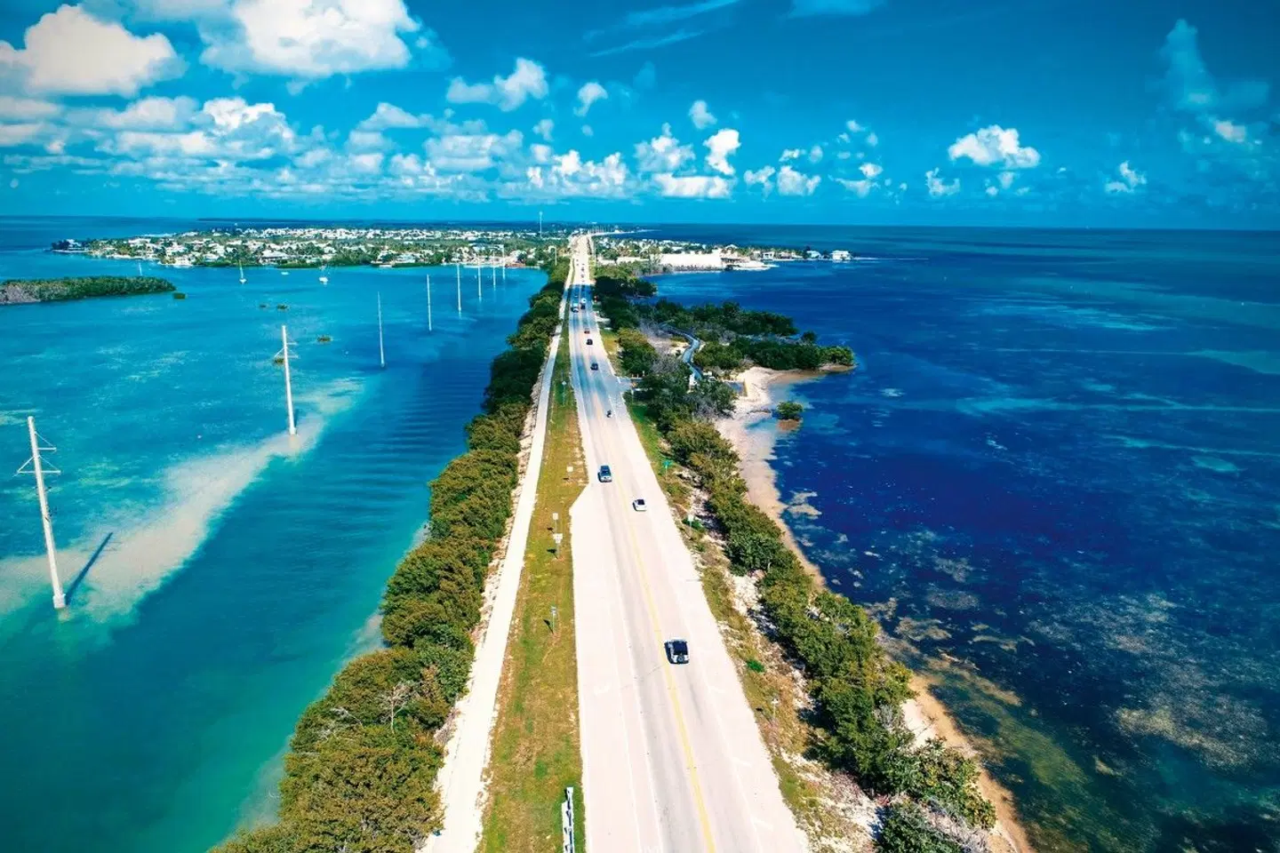 Florida Intensiv LANDSCAPE