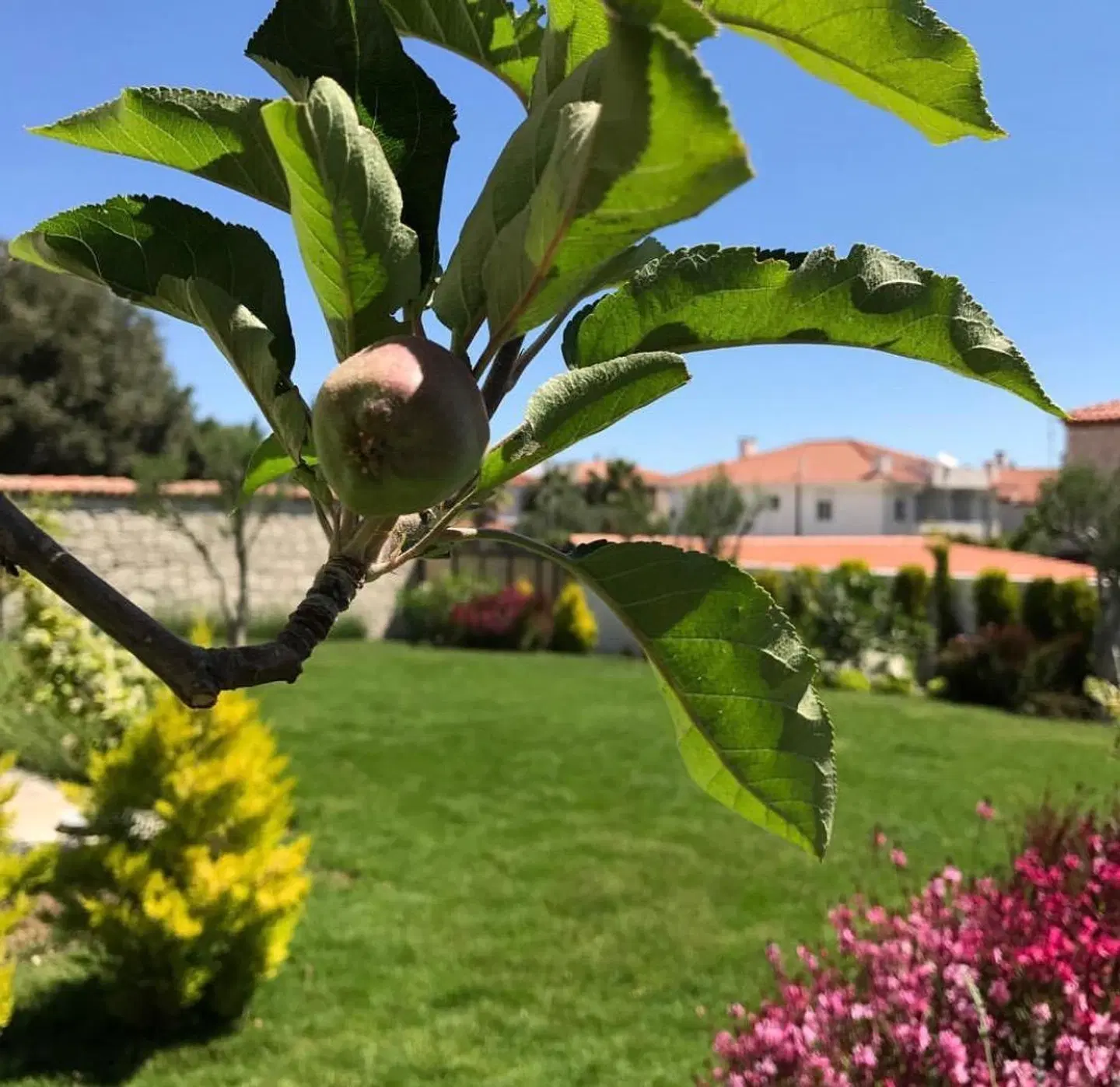 Jakamar Otel Alaçati Garten