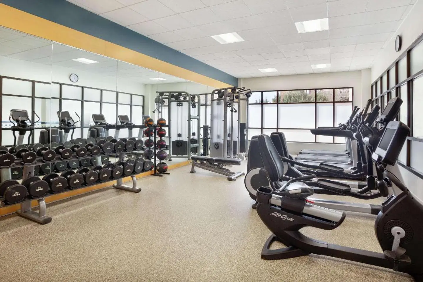 Embassy Suites by Hilton Denver International Airport SPORTS_AND_LEISURE