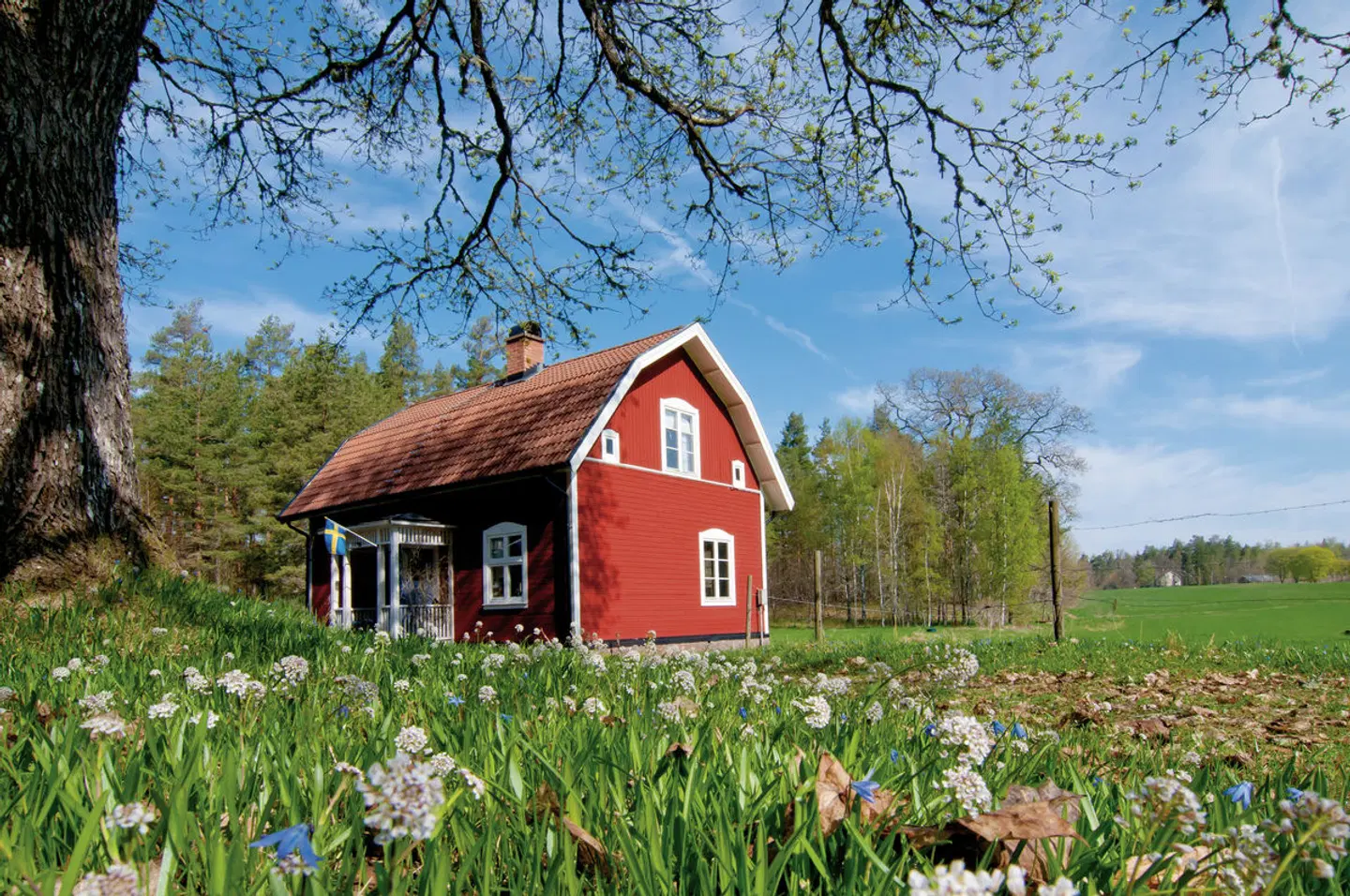 Skandinavien Rundreise & Nordkap EXTERIOR