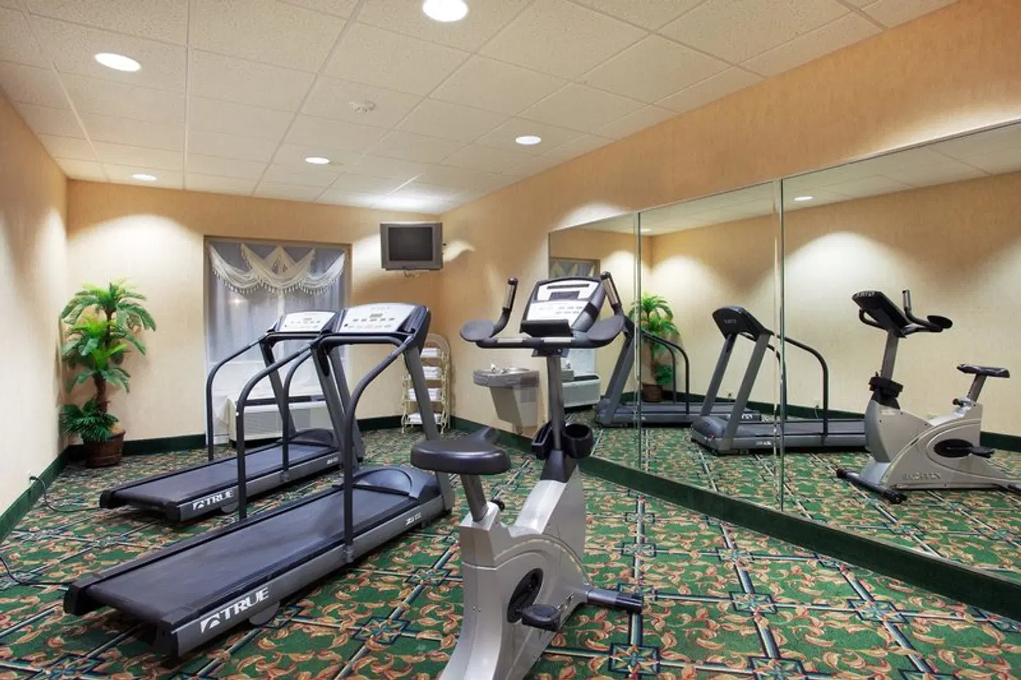 Holiday Inn Express & Suites Lenoir City (Knoxville Area) by IHG SPORTS_AND_LEISURE