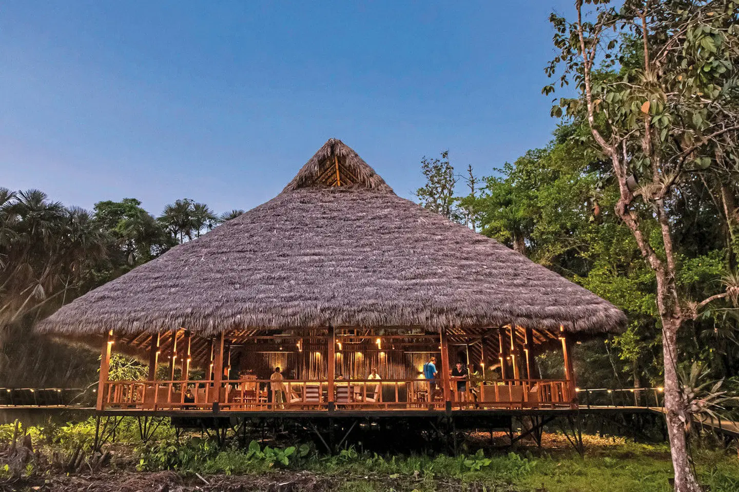 Abenteuer Amazonas - Sacha Lodge (3 Nächte) Bar