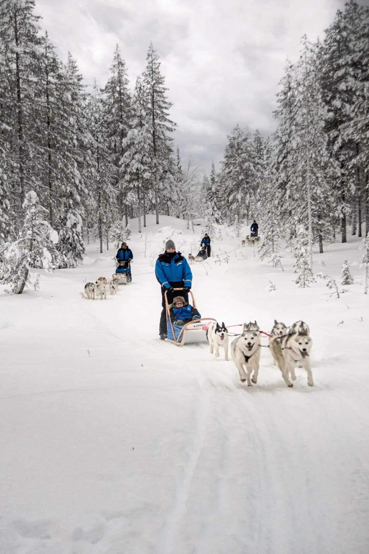 Lappland Deluxe - 4 Nächte SPORTS_AND_LEISURE