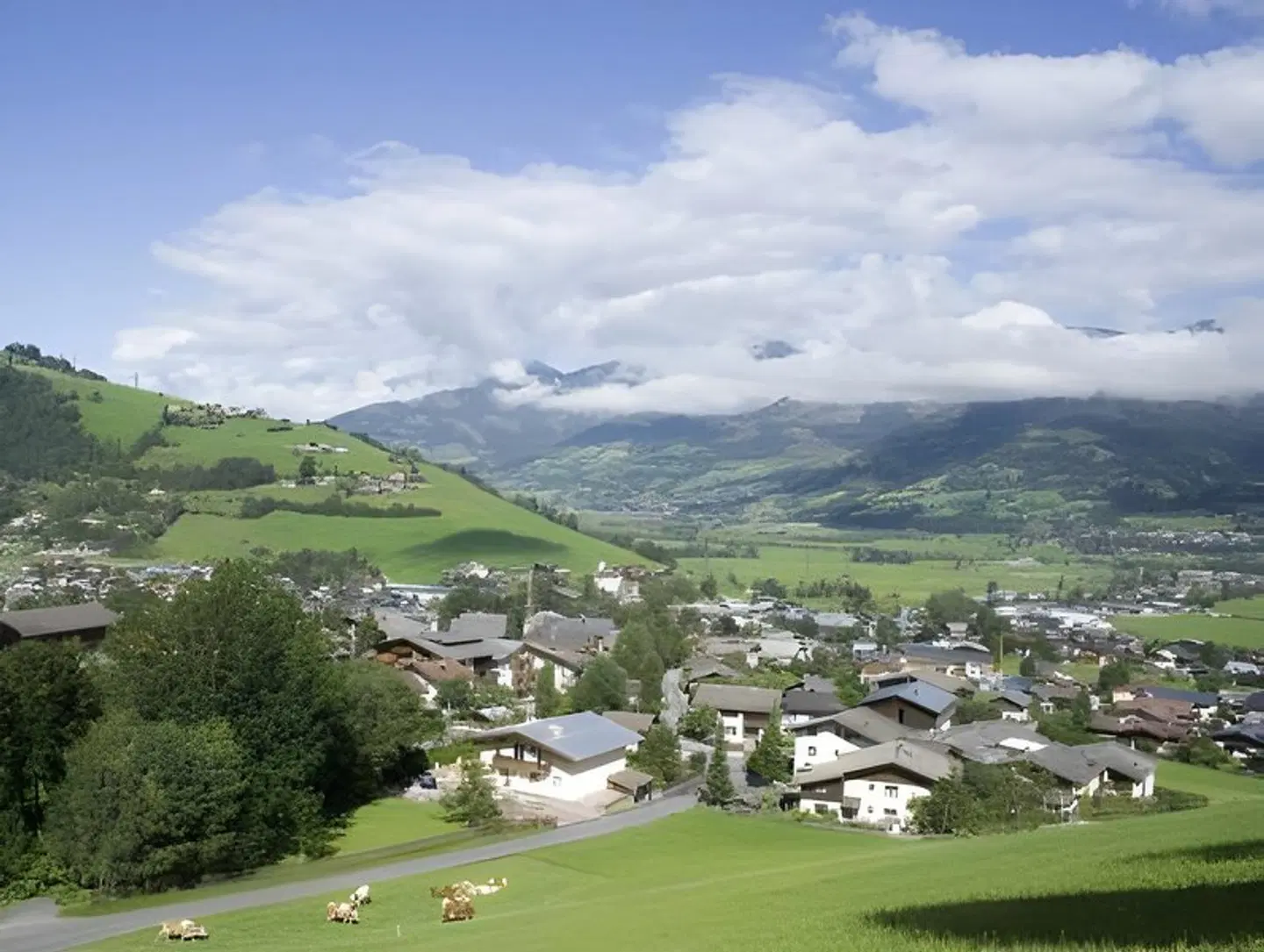 Lederer's living LANDSCAPE