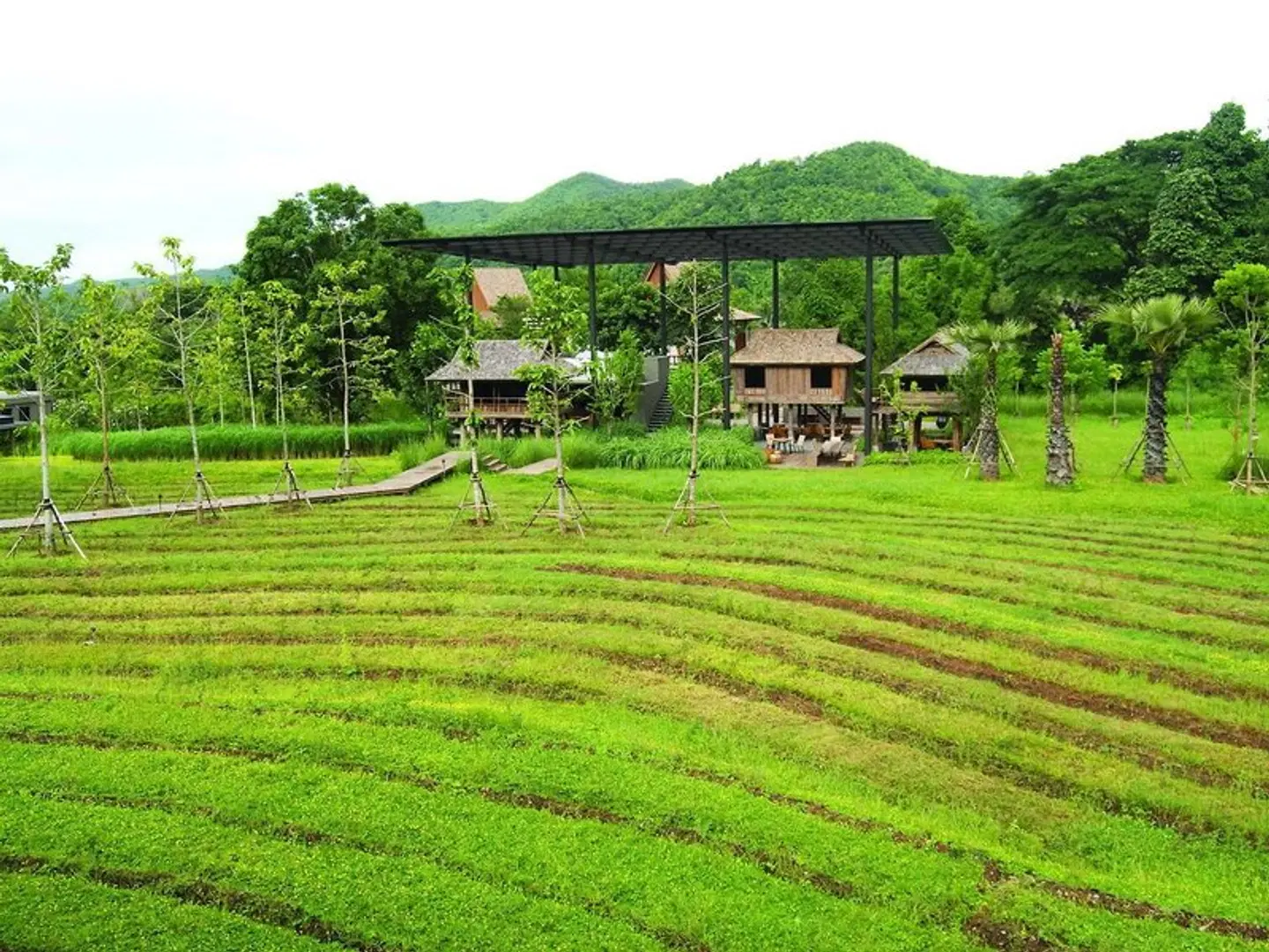 Veranda High Residence Garten