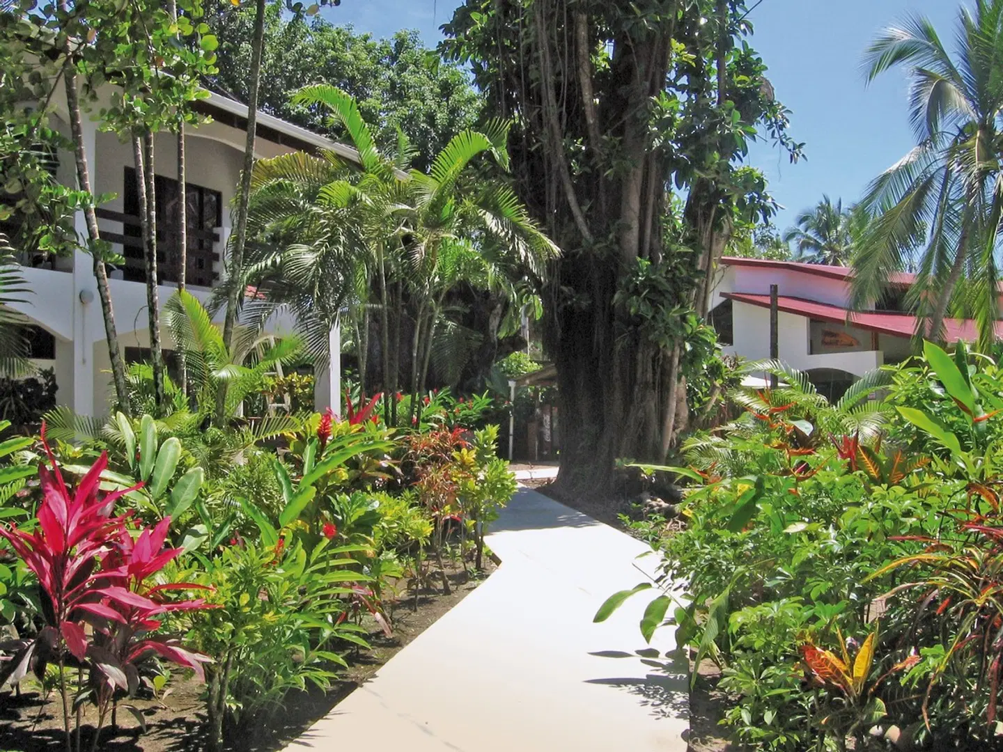 Pochote Grande Garten