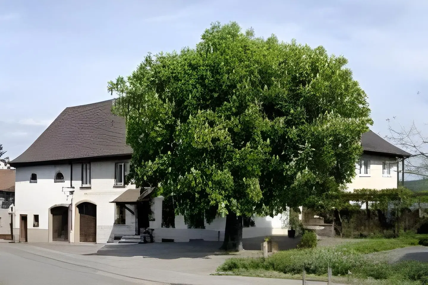 Maien EXTERIOR