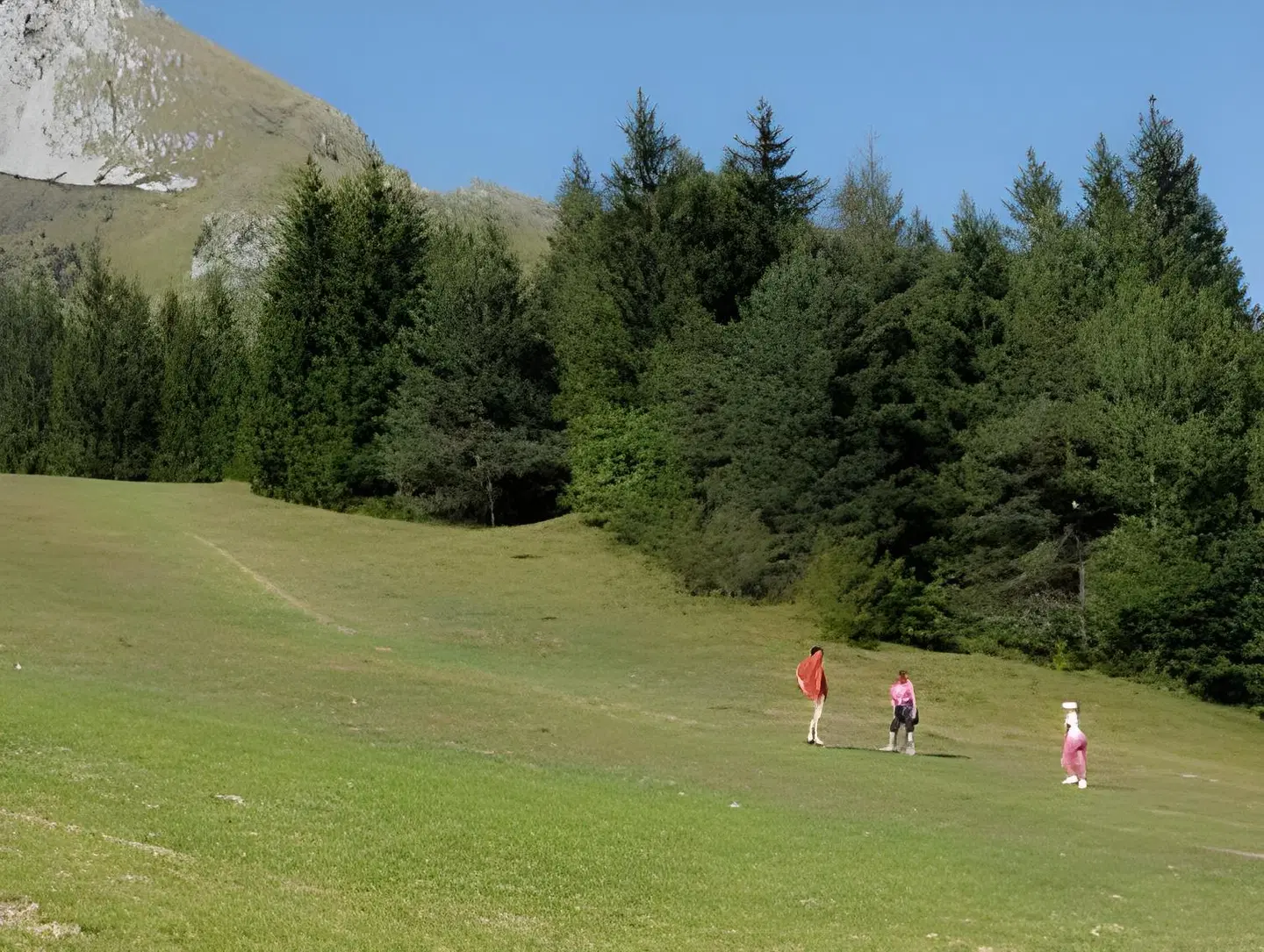 Hotel Piccola Baita SPORTS_AND_LEISURE