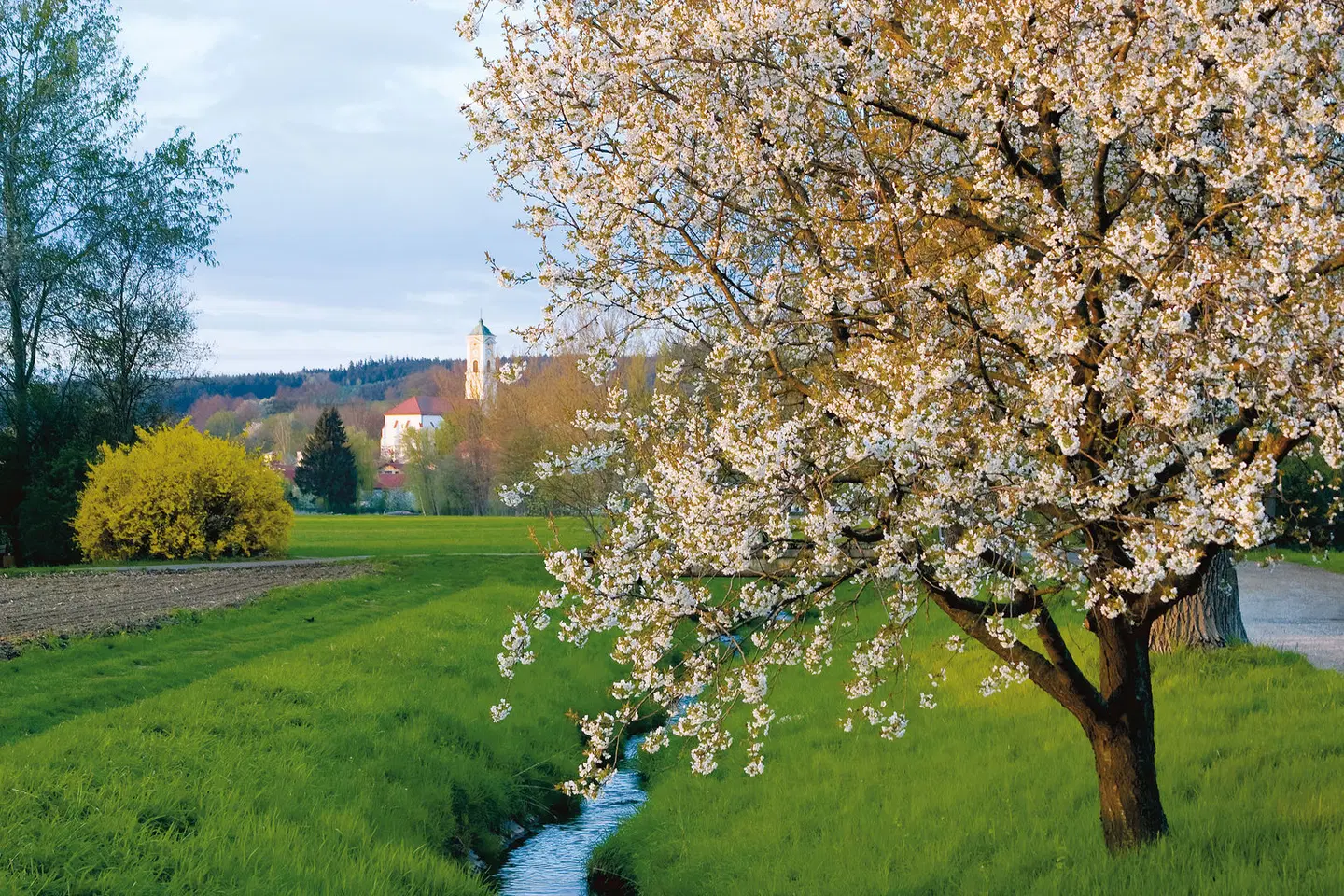 BEST WESTERN Aparthotel Birnbachhoehe Garten