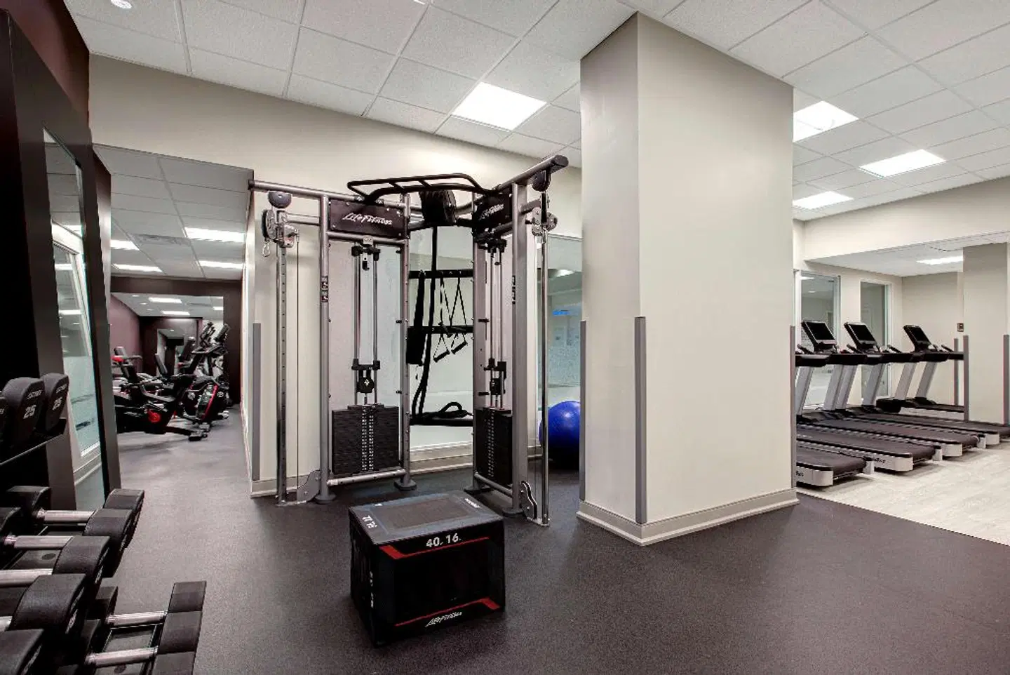 DoubleTree by Hilton Toronto Downtown SPORTS_AND_LEISURE