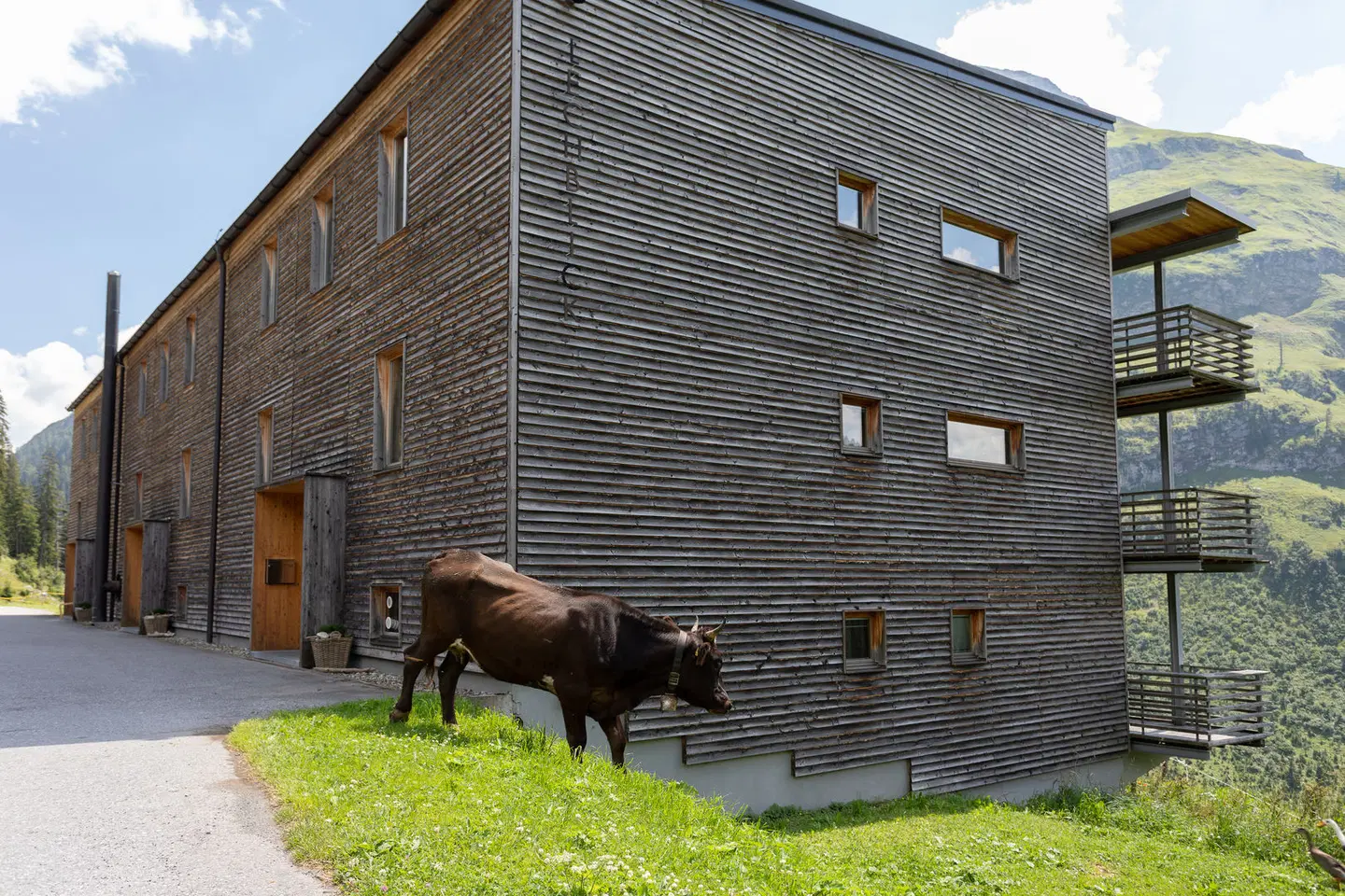 Lechblick Appartement Tiere