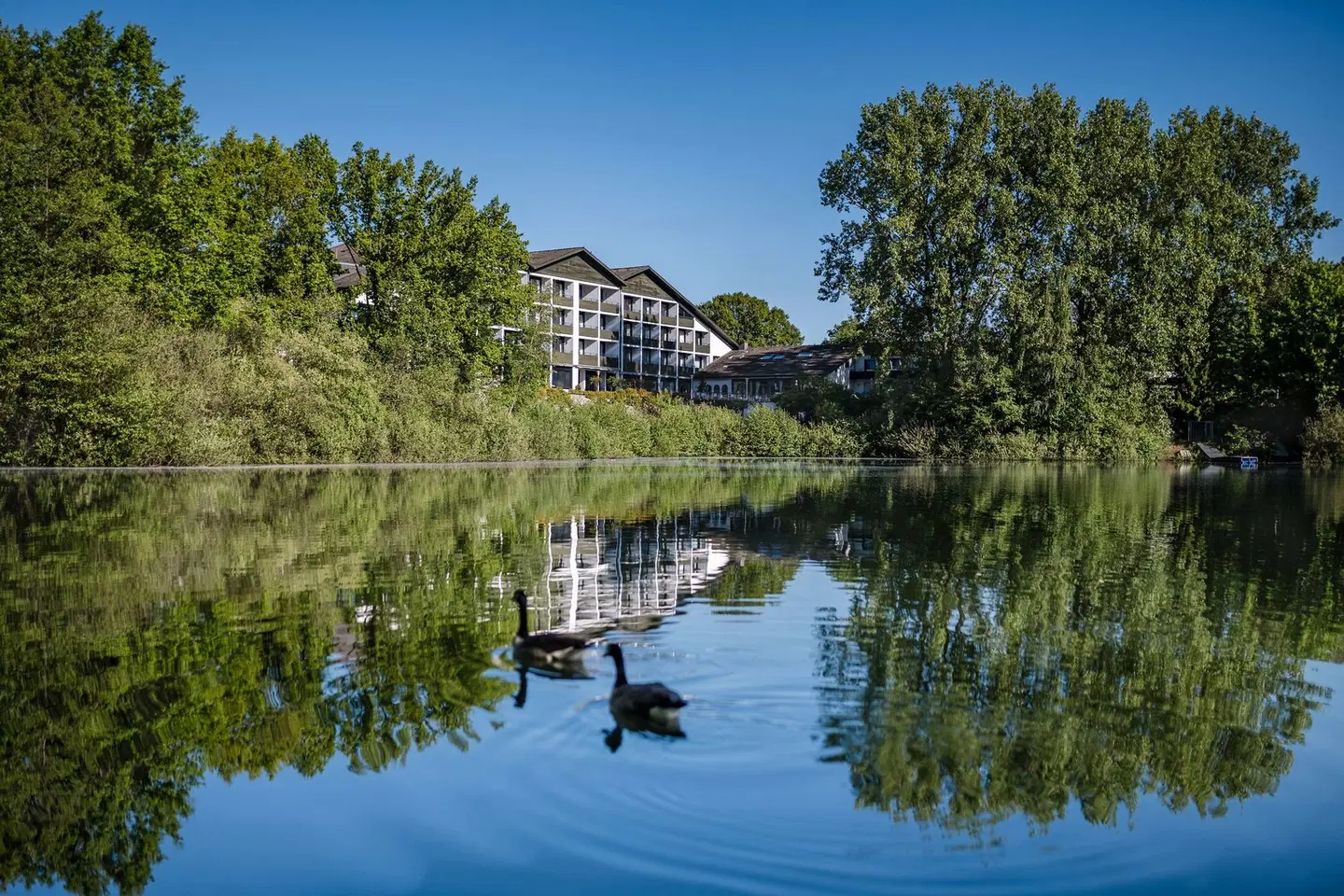 Best Western Premier  Seehotel Krautkrämer LANDSCAPE