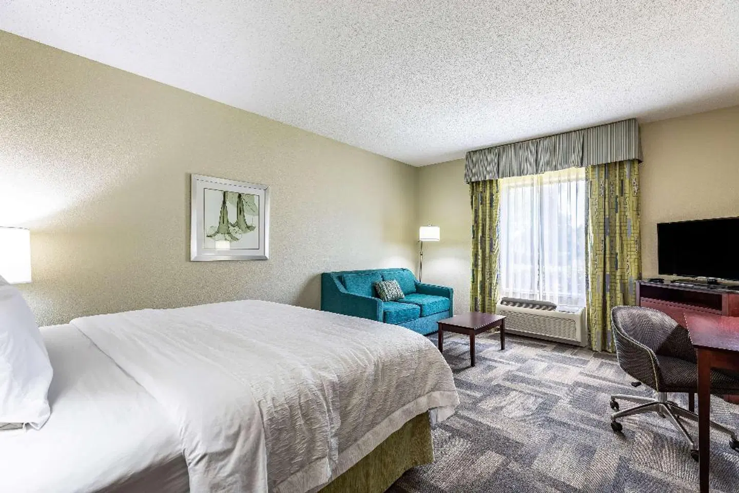 Hampton Inn & Suites Orlando-South Lake Buena Vista ROOM_EXAMPLE