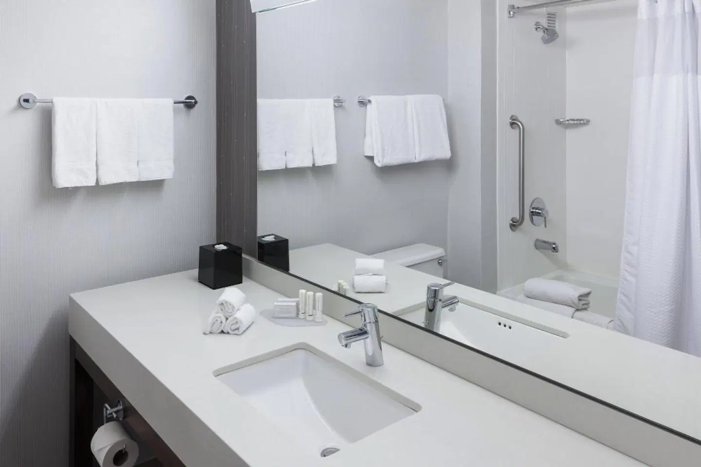 Courtyard by Marriott Alexandria Old Town/Southwest Badezimmer