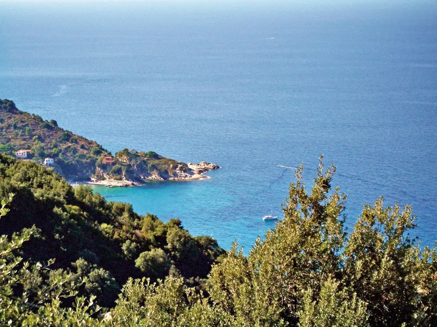 Barsalini LANDSCAPE
