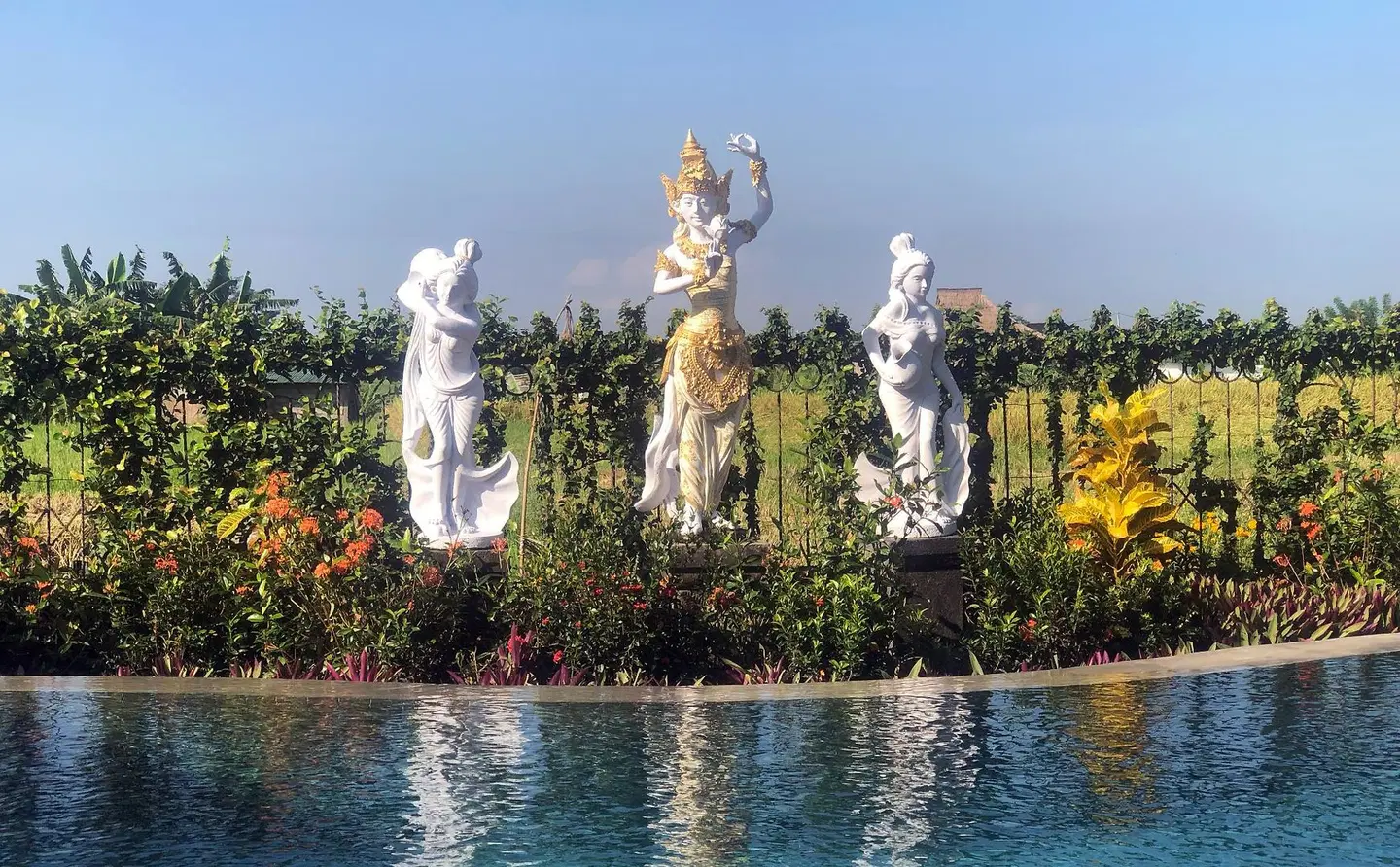 Devi's Place LANDSCAPE