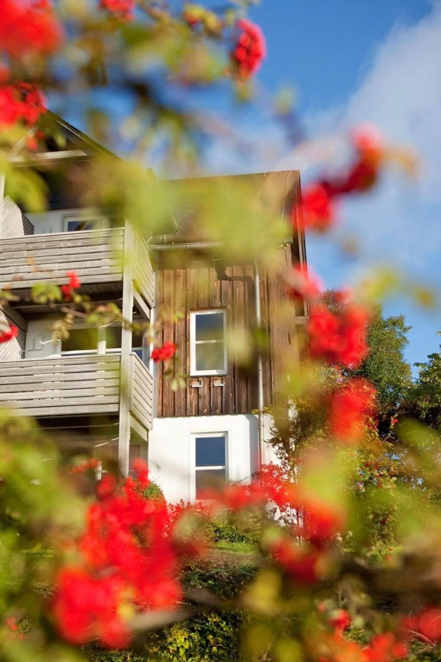 Hapimag Resort Winterberg EXTERIOR