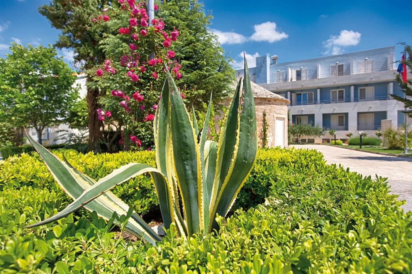 Pastura Garten