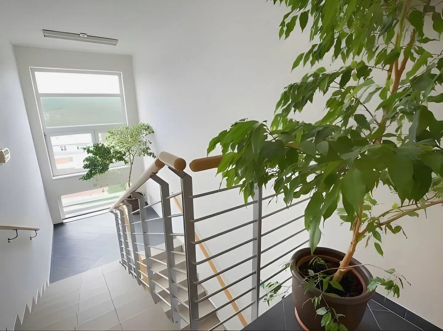 Rezidence Emmy Terrasse