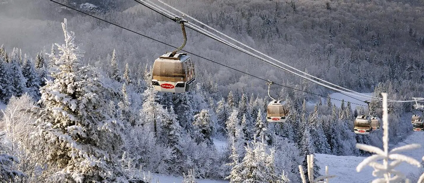 Fairmont Tremblant Tiere