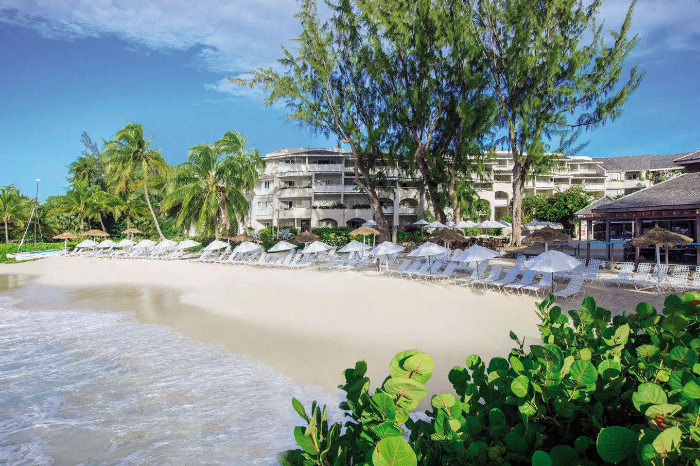 Bougainvillea Barbados BEACH
