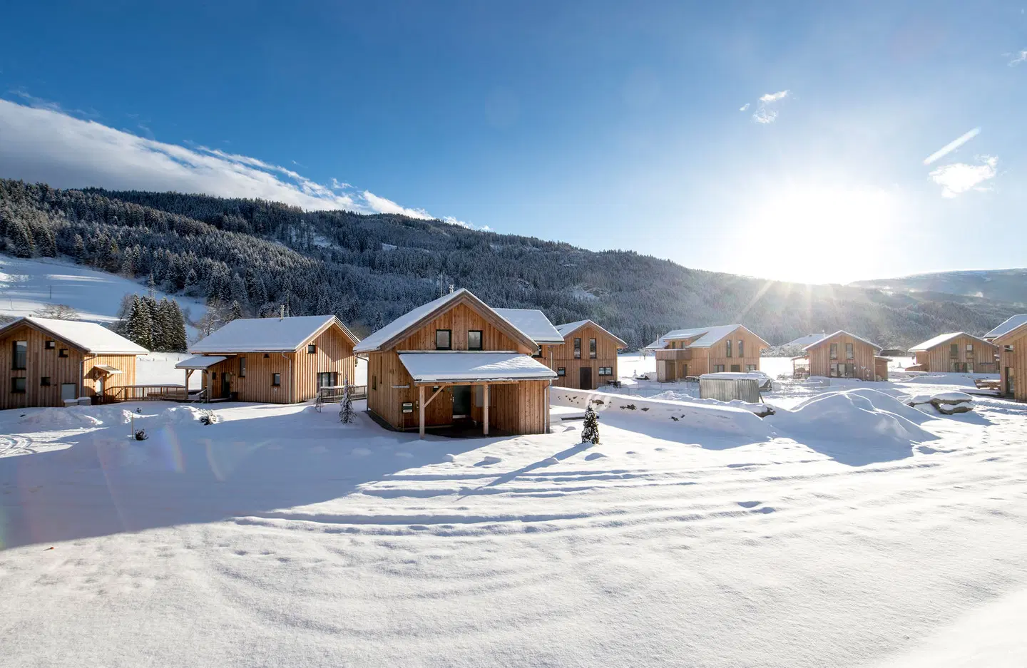 Feriendorf Murau by ALPS RESORTS OUTDOOR_POOL