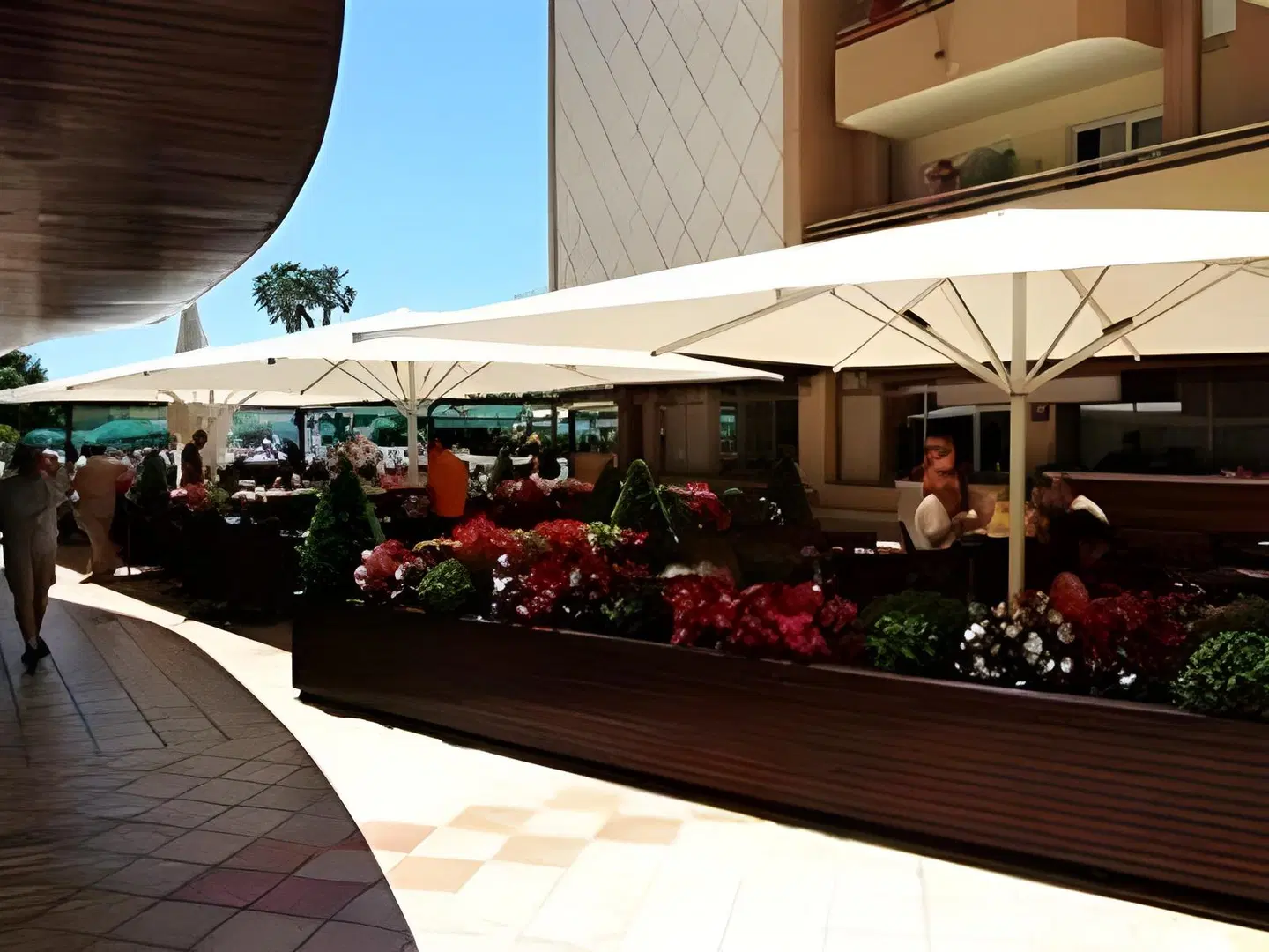 ALEGRIA Florida LOUNGE_LOBBY