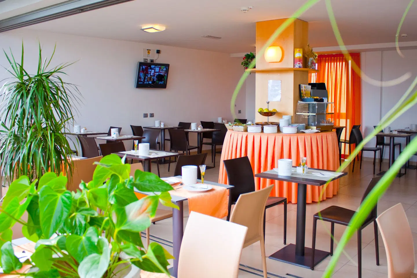 Pasha Bar