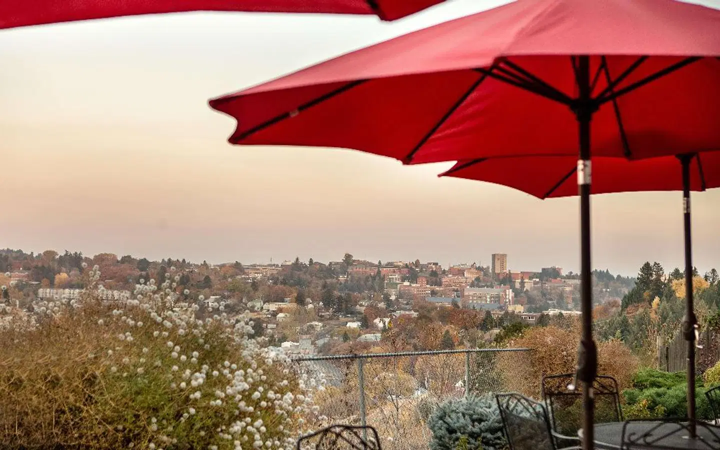 Hilltop Inn LANDSCAPE
