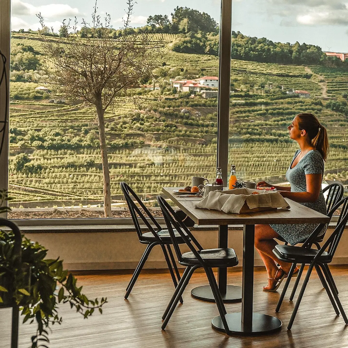 Lamego Hotel & Life Terrasse