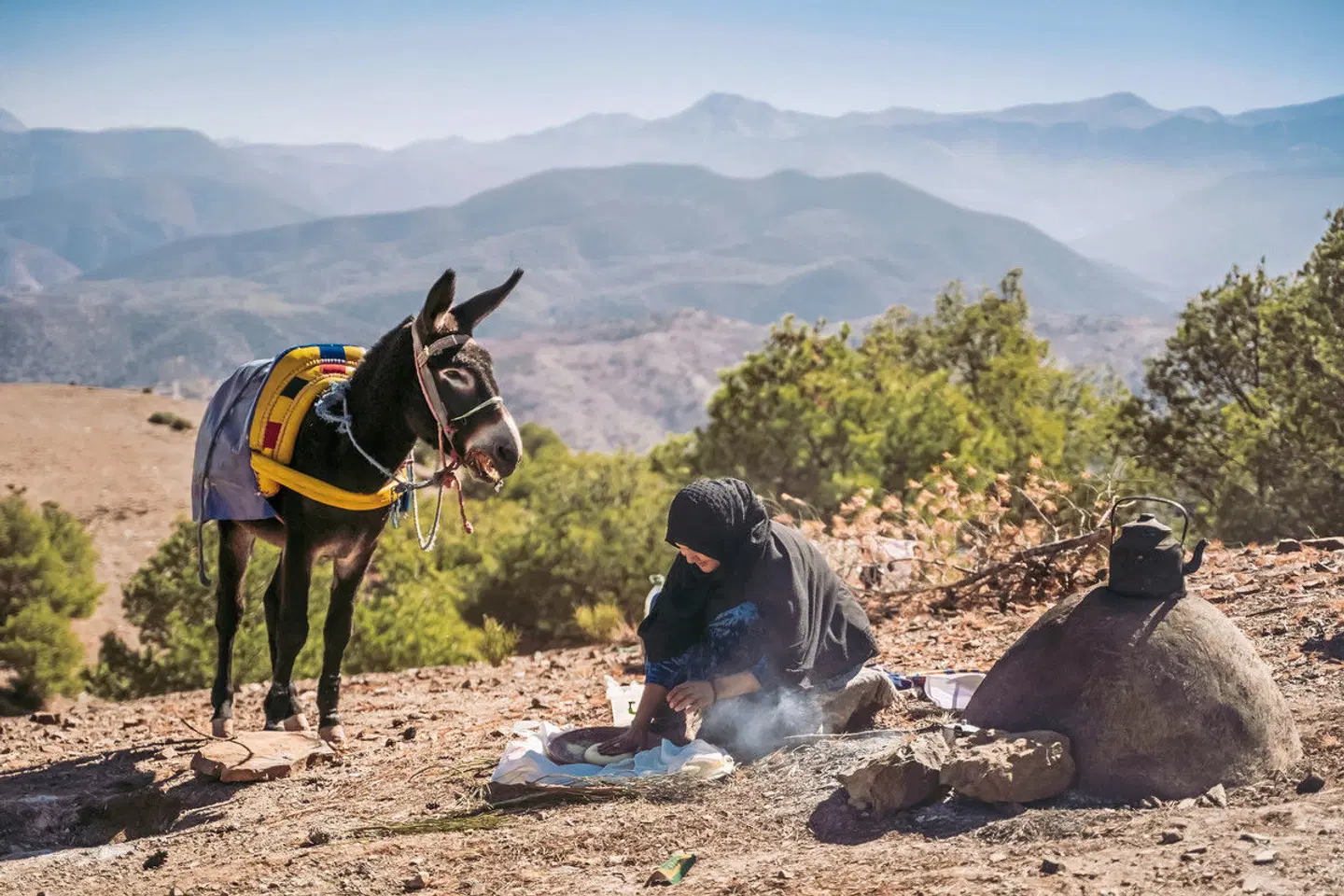 Inara Camp Tiere