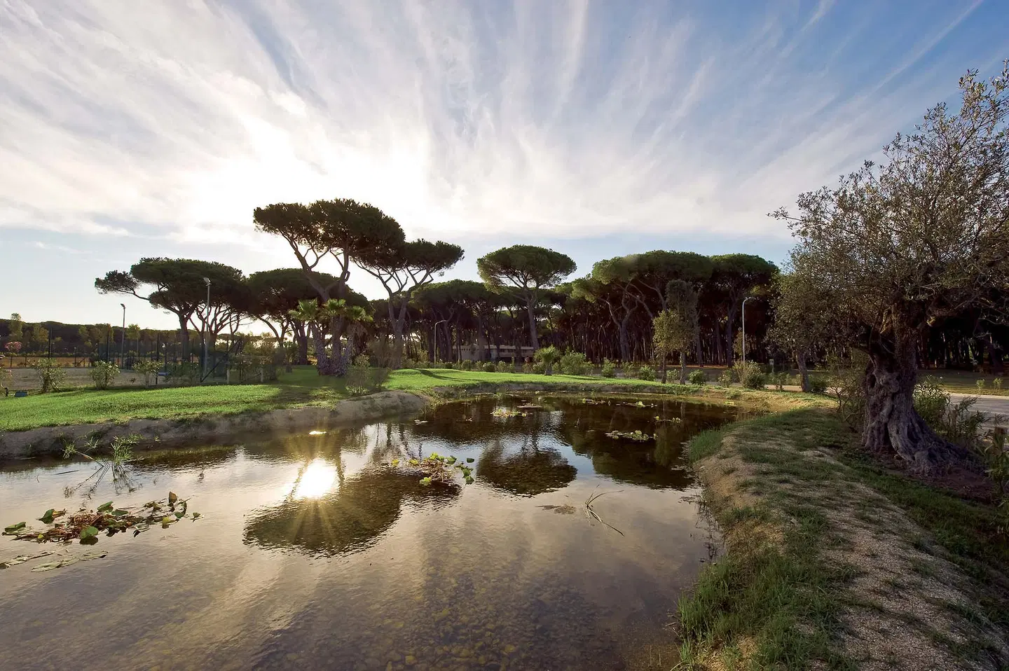 Camping Village Roma Capitol LANDSCAPE