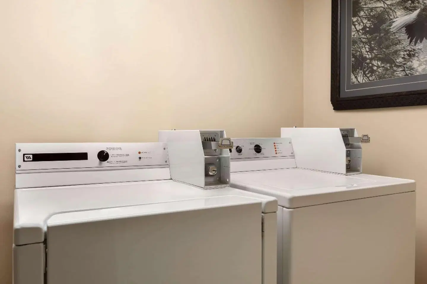 Travelodge Suites Moncton ROOM_EXAMPLE