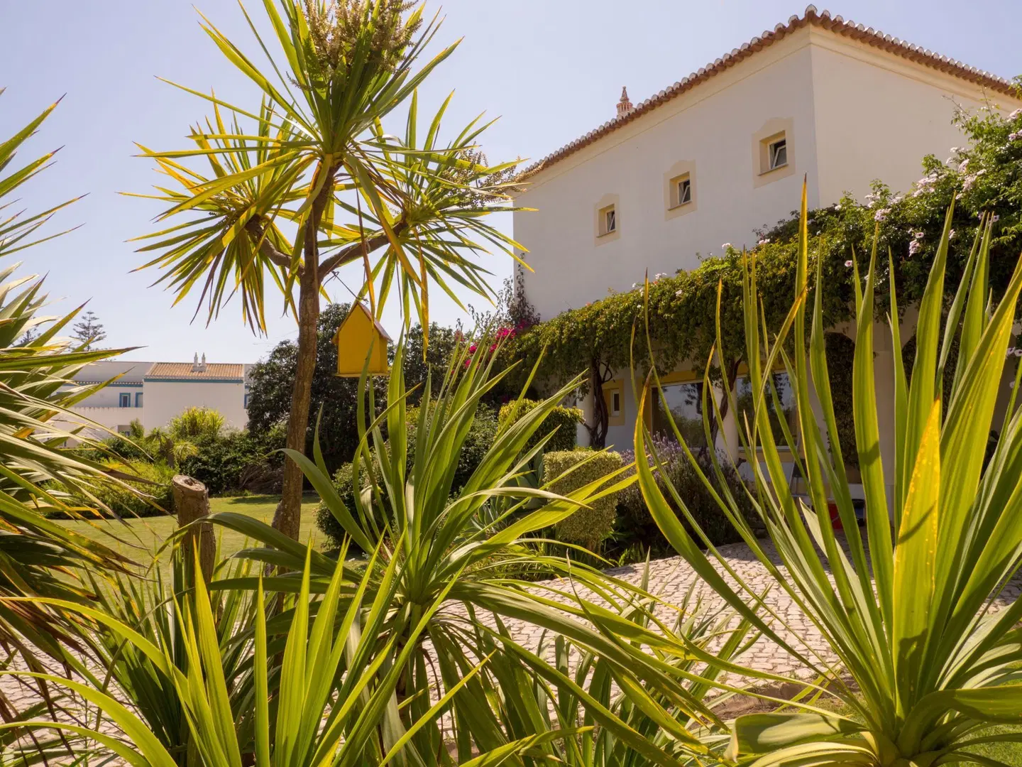 Luz Bay Garten