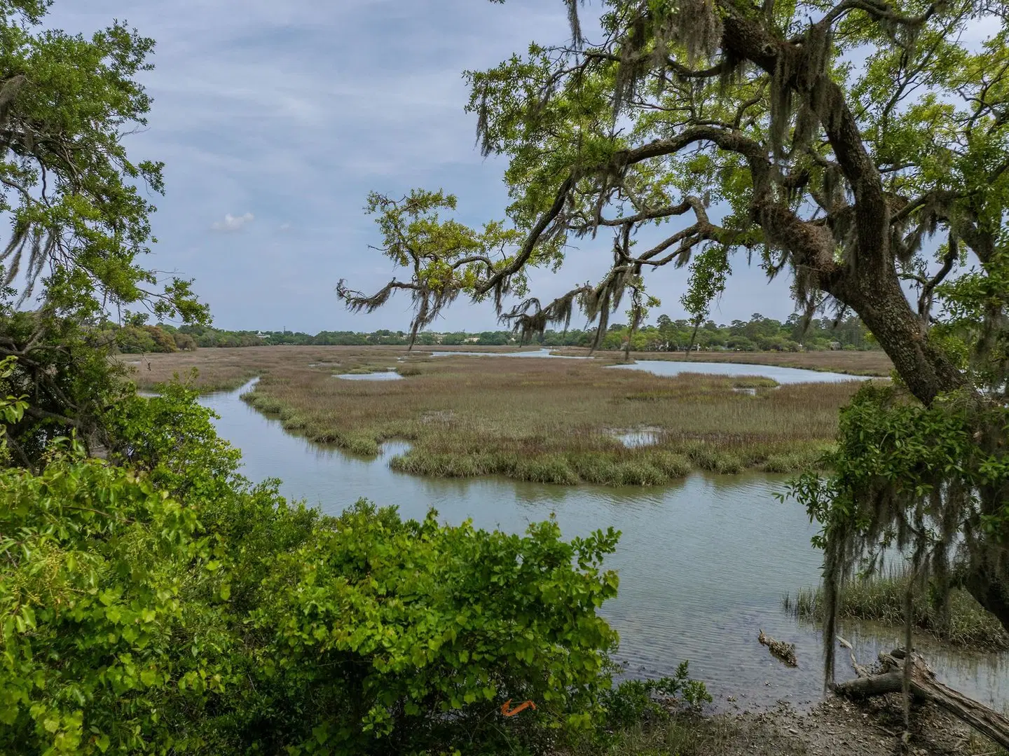 Hampton Inn Beaufort LANDSCAPE