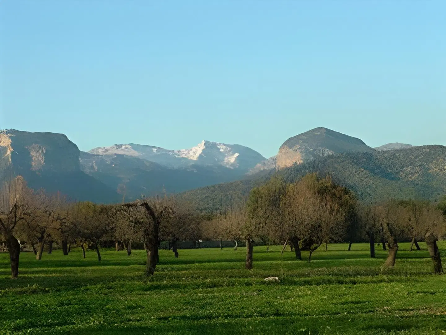Finca Sa Cabana & Spa LANDSCAPE
