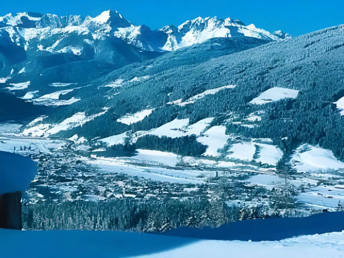 Landhaus Steiner LANDSCAPE