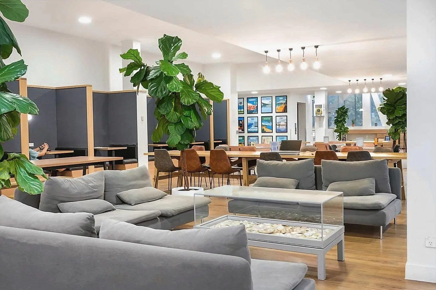 Sydney Harbour YHA LOUNGE_LOBBY