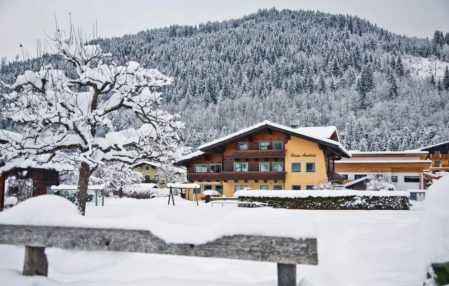 Haus Austria EXTERIOR