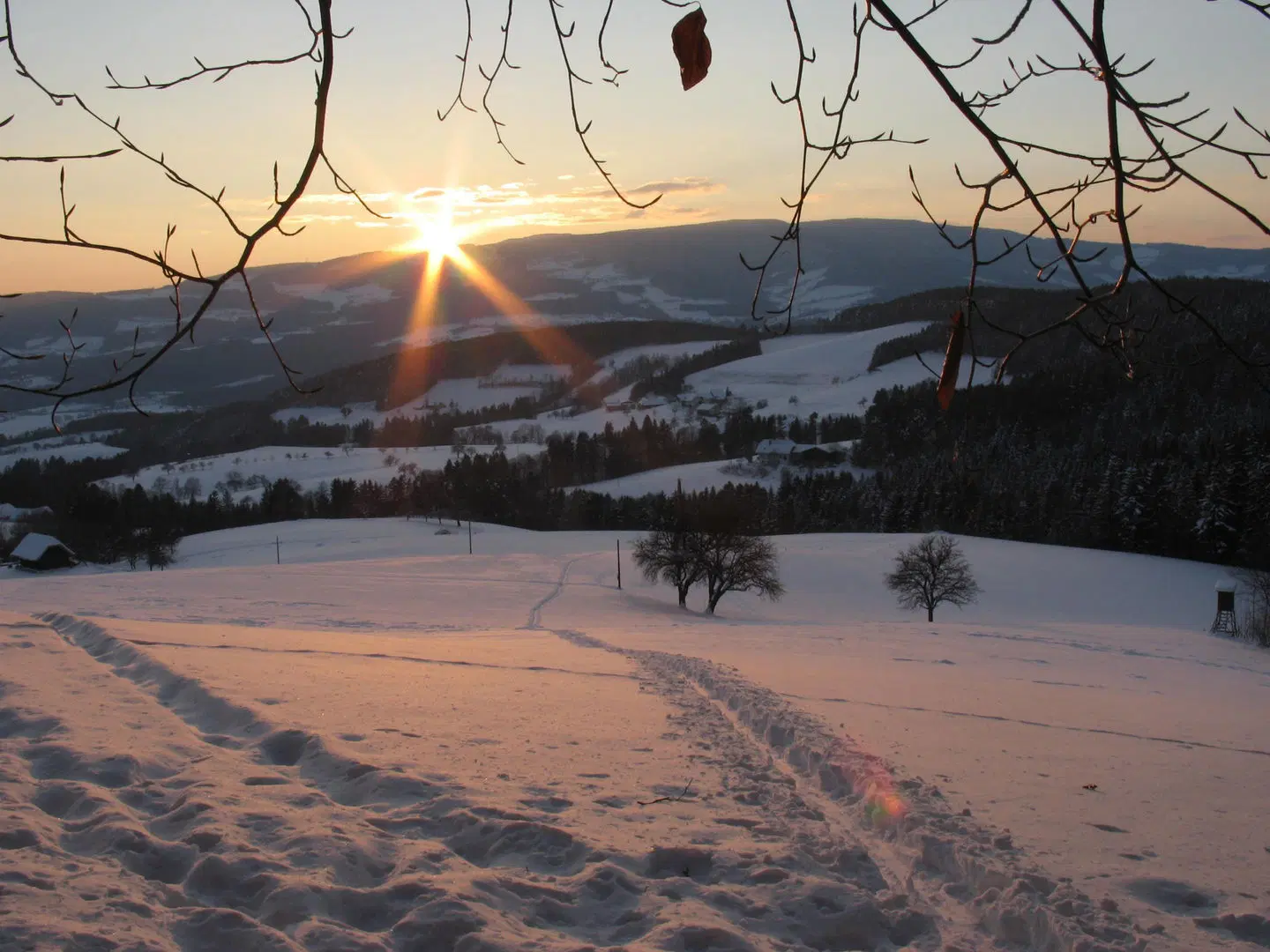 Waldhof Muhr LANDSCAPE