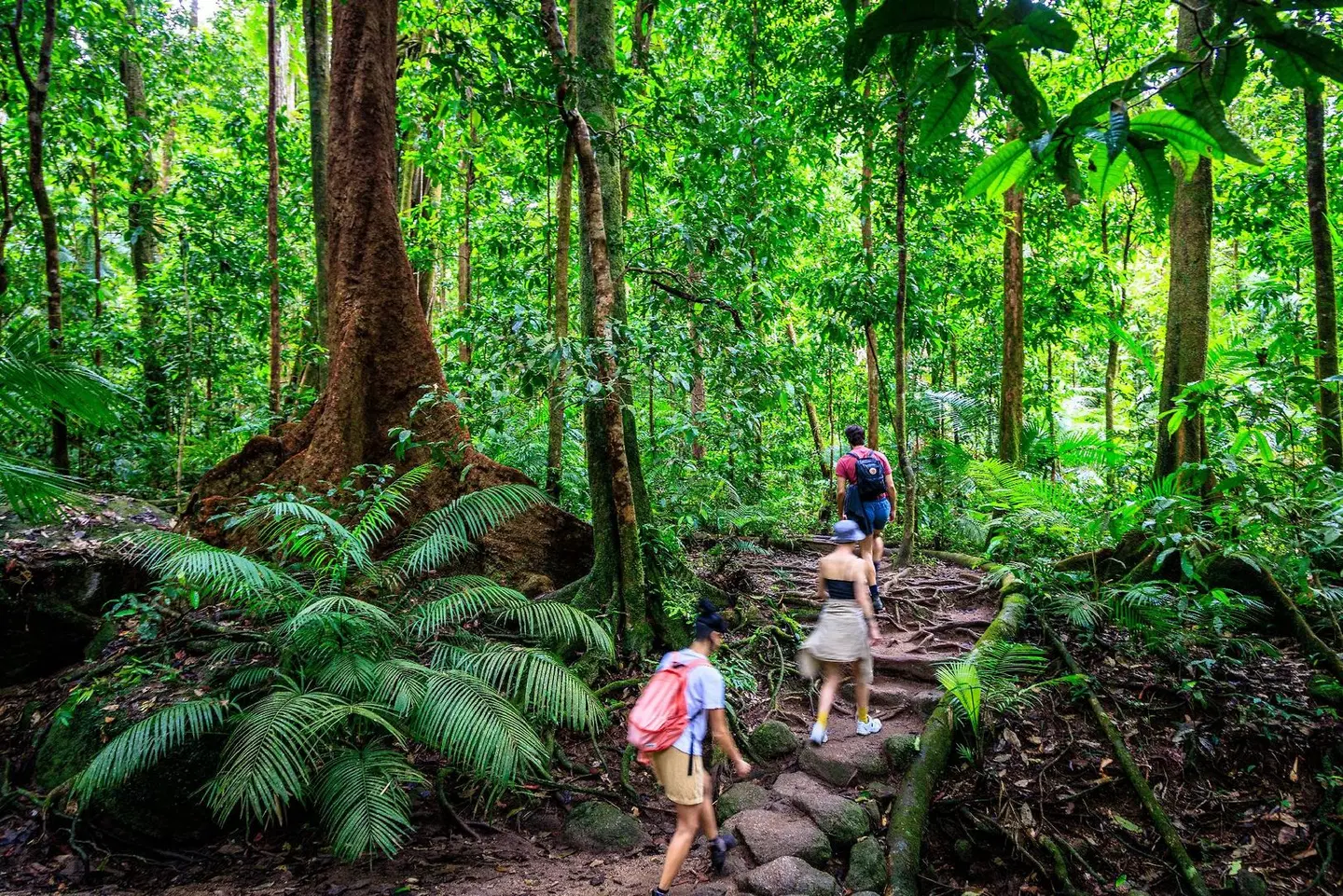 Cairns Central YHA LANDSCAPE