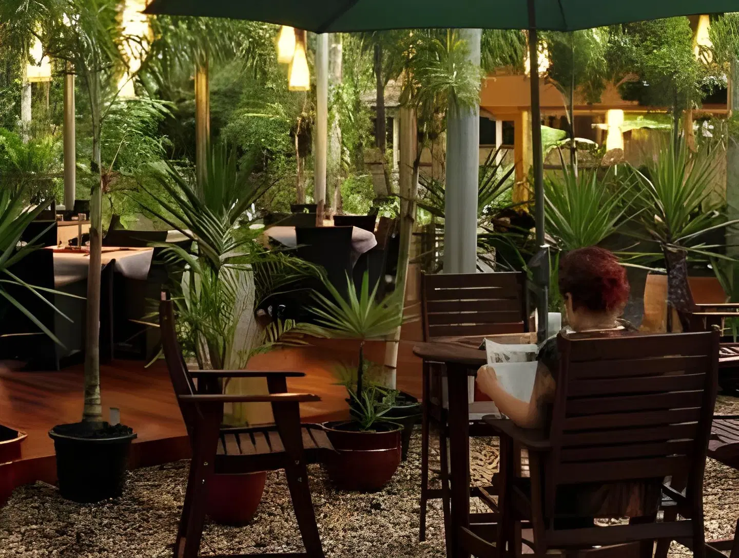 Heritage Lodge In The Daintree Terrasse