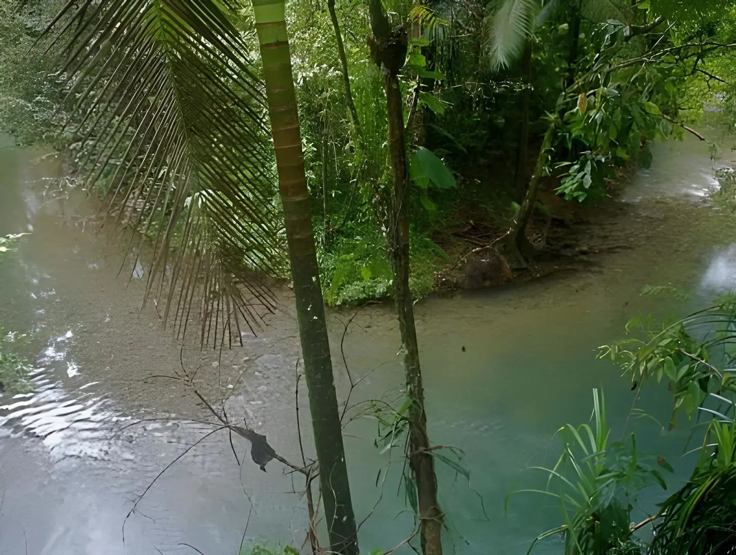 Heritage Lodge In The Daintree LANDSCAPE