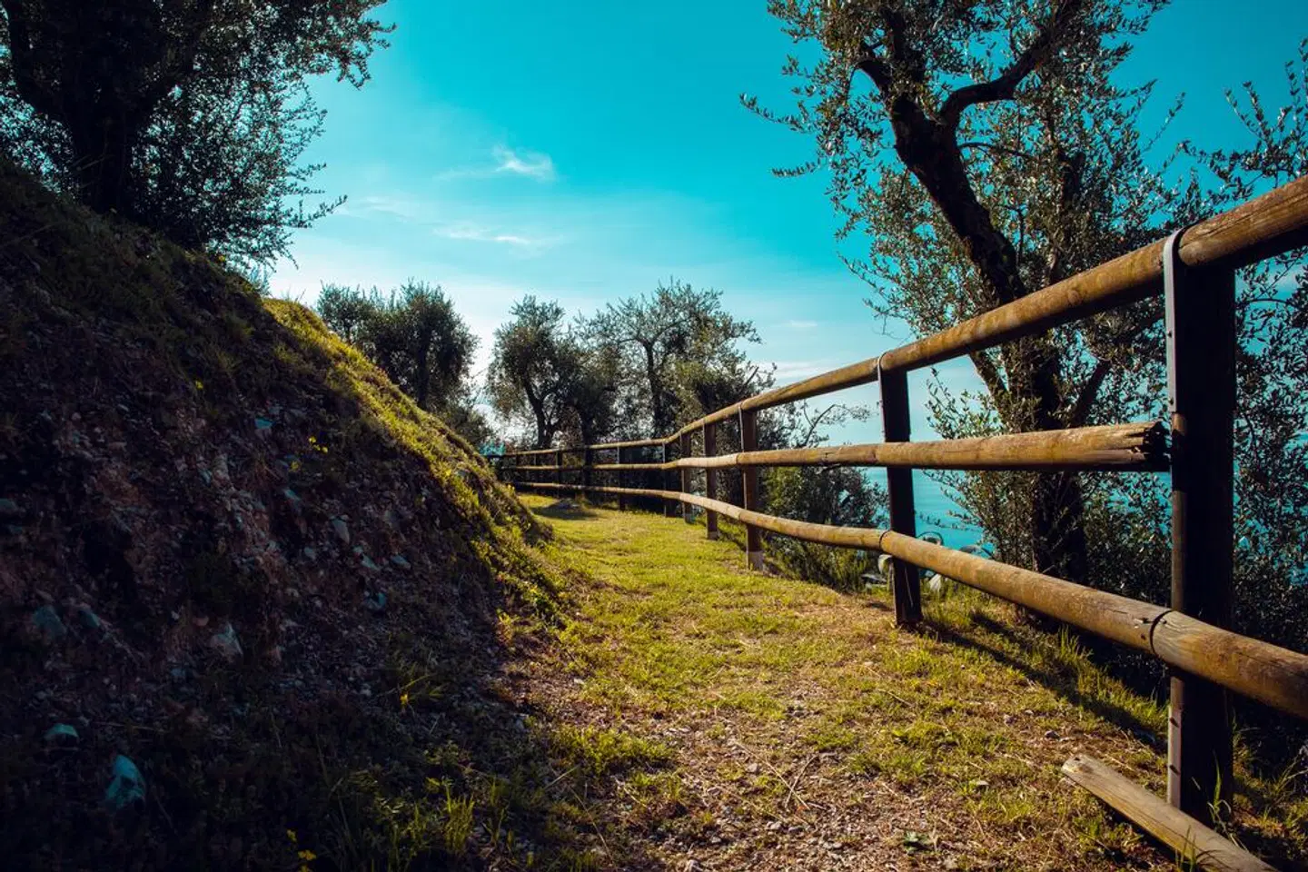 Domina Borgo degli Ulivi Garten