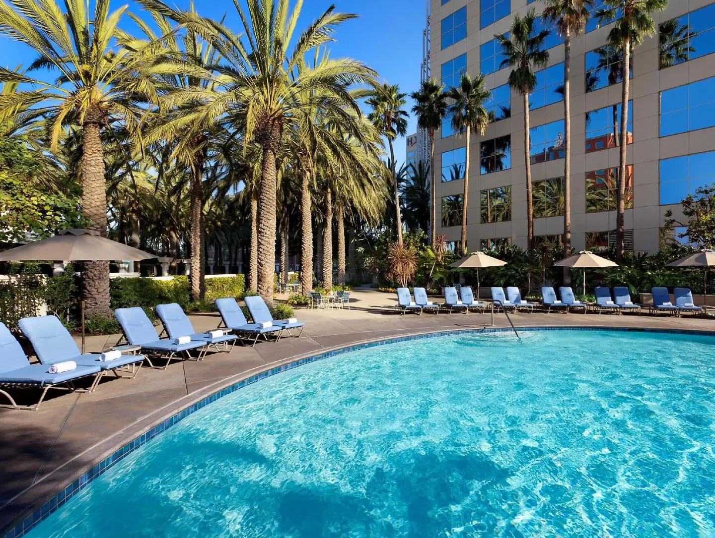 Hyatt Regency Orange County OUTDOOR_POOL