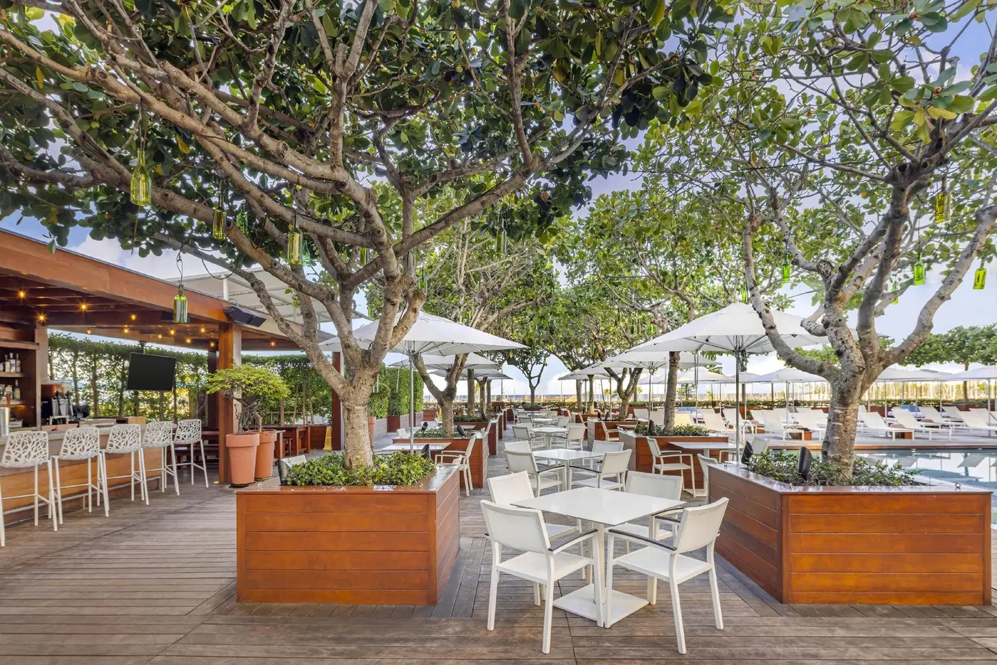 The Modern Honolulu Terrasse