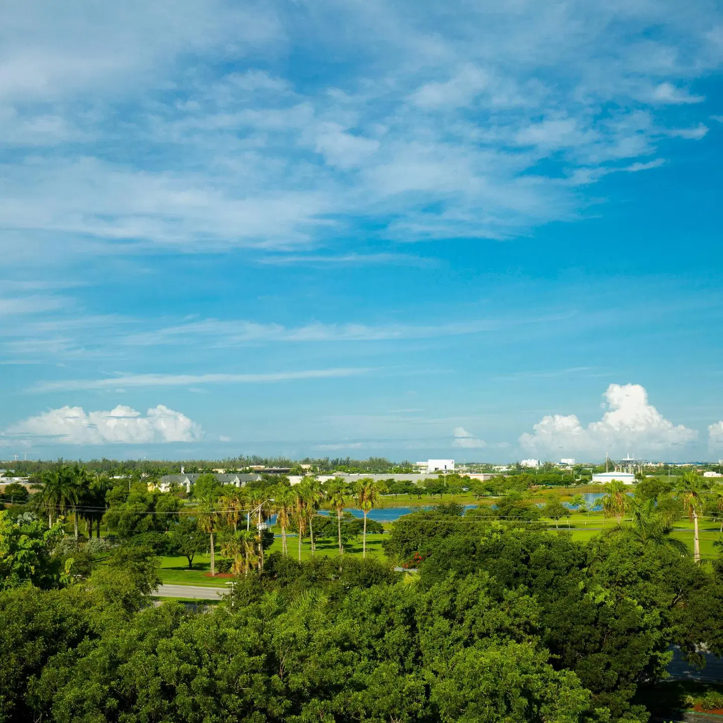 Staybridge Suites Miami Doral Area by IHG LANDSCAPE