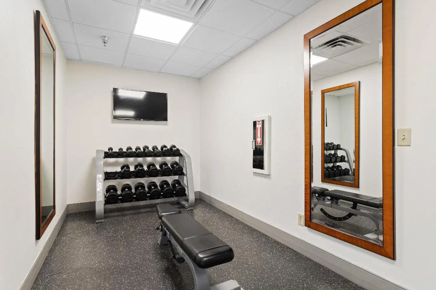 Holiday Inn Tampa Westshore - Airport Area by IHG ROOM_EXAMPLE